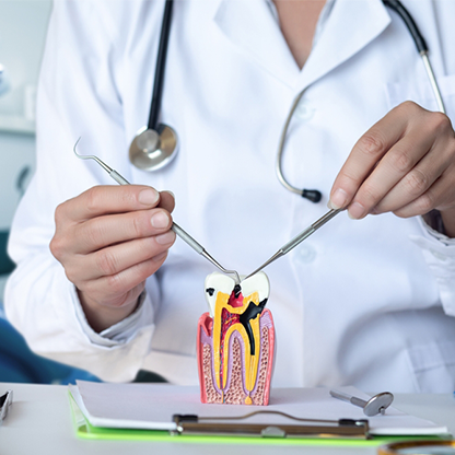 General Dentistry in RS Puram, Coimbatore